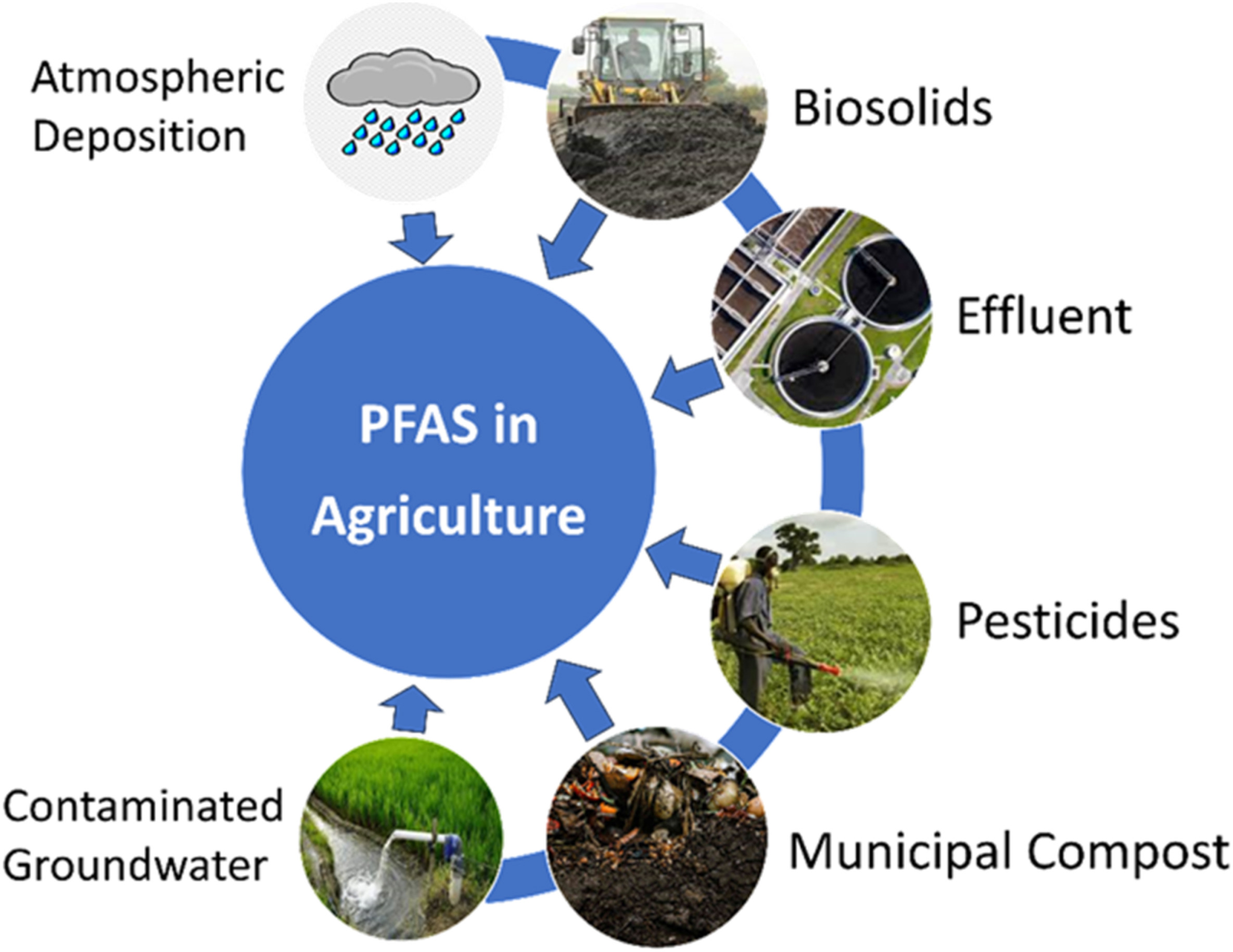 Circular diagram showing PFAS entry pathways into agriculture including biosolids, effluent, pesticides, municipal compost, contaminated groundwater, and atmospheric deposition.